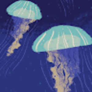 Meet your Posher, Anniah